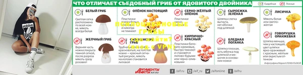 а пвп мука Горняк