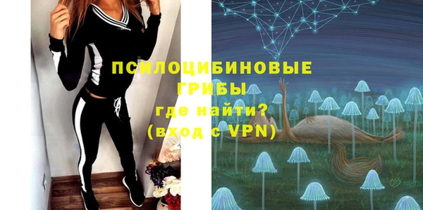 а пвп мука Горняк