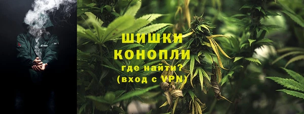 СК Горно-Алтайск